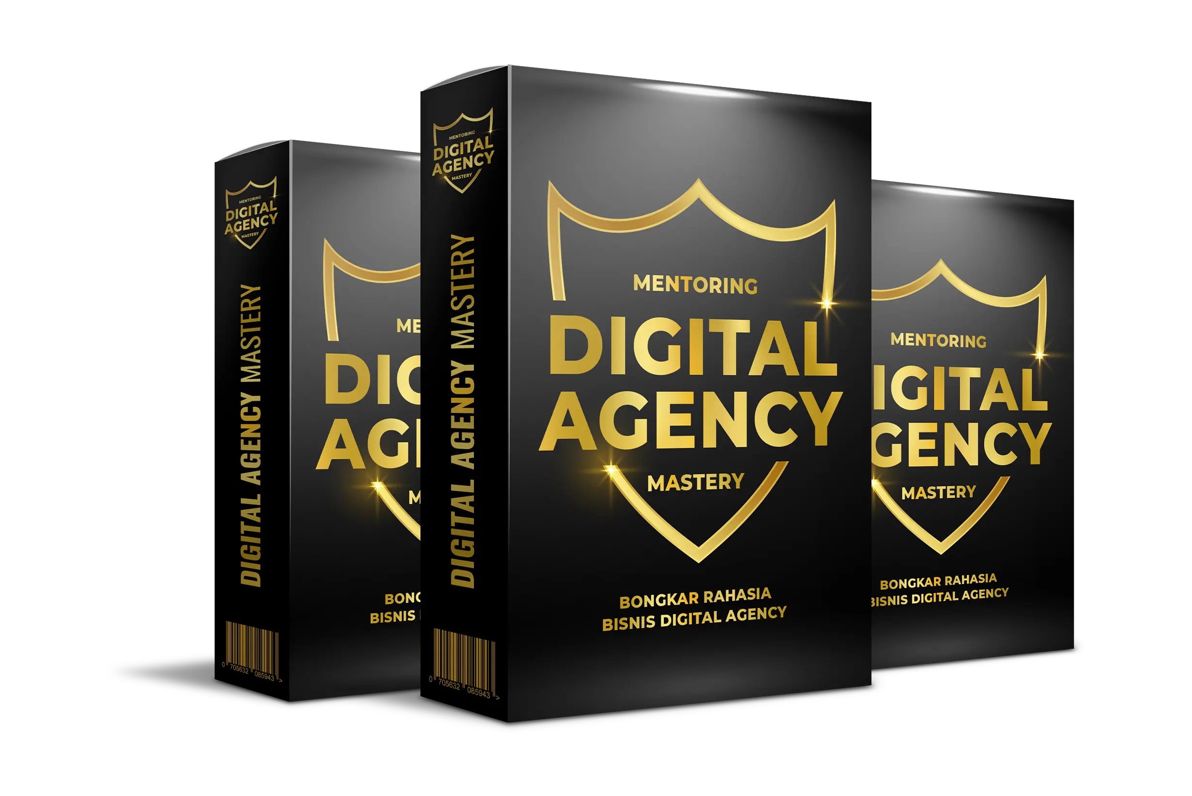 Mentoring Digital Agency Mastery Cover